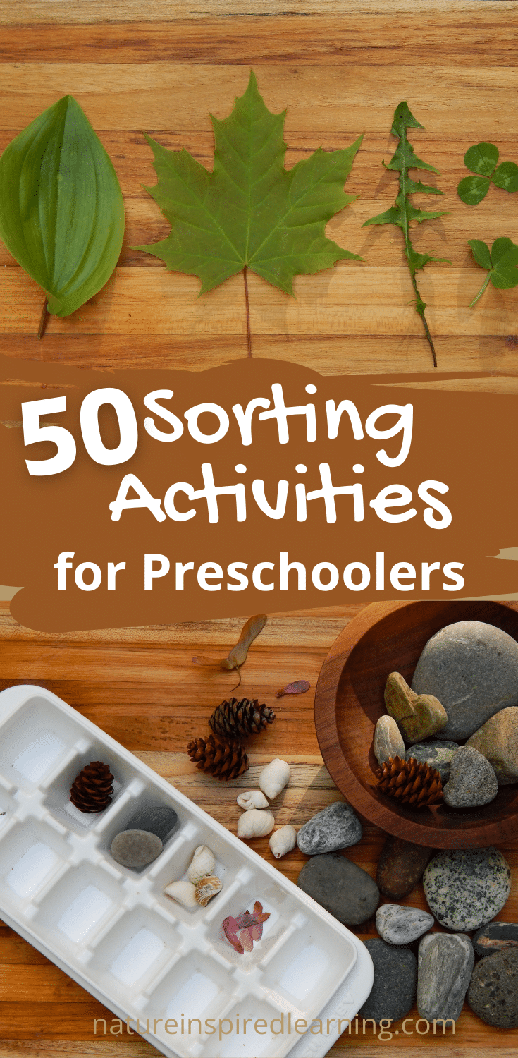 50-sorting-and-classification-activities-for-pre-k-and-kindergarten