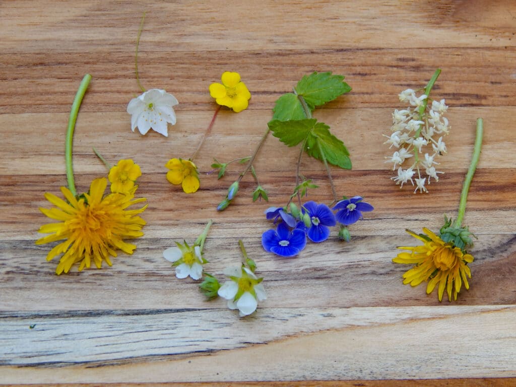 wildflowers sorted on a wooden board yellow, white, and bloom blooms