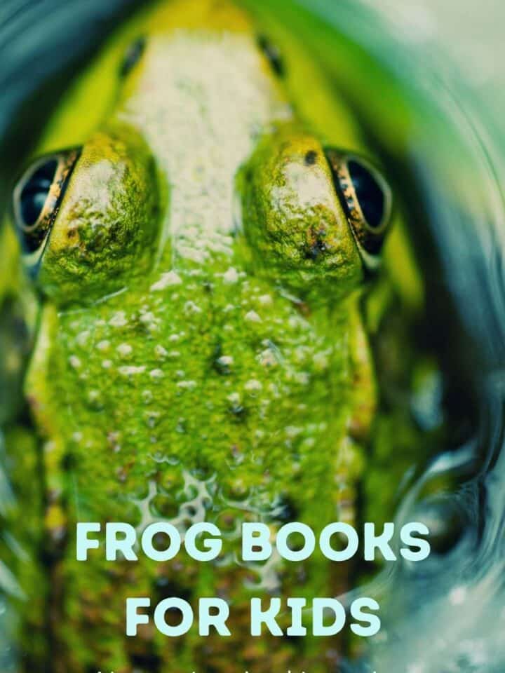 top view of an american bull frog in the water text frog books for kids nature inspired learning in light blue