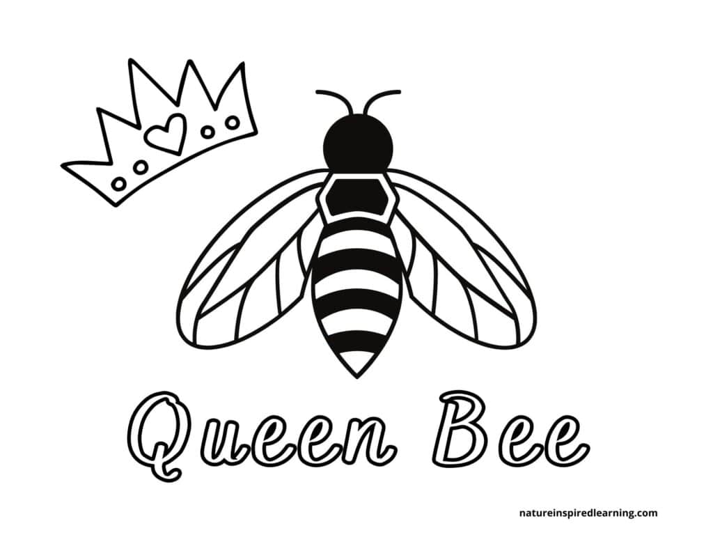 queen bee coloring page