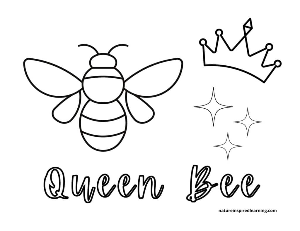 queen bee coloring page bee on the left crown top right with three stars and text queen bee below