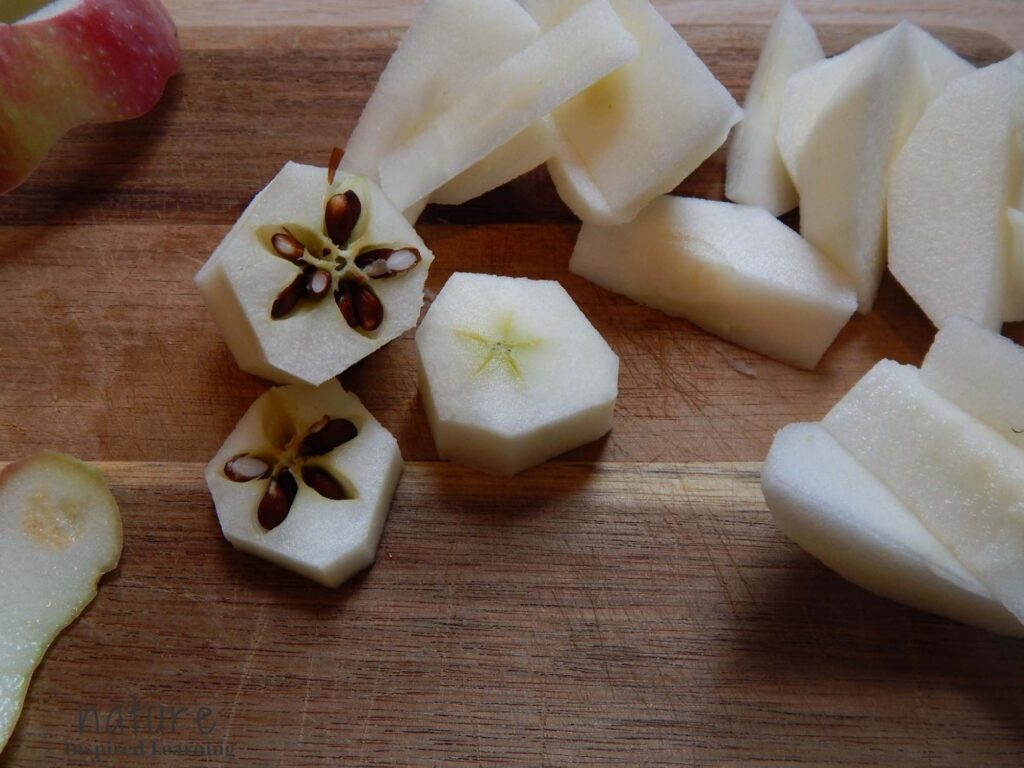 center of an apple star shape with apple seeds cut into a stamp apple slices on a wooden cutting board red apple peal in the top corner