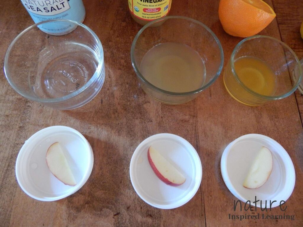 close up view of apple slices after being taken out of the liquids one in each of three white plastic lids glass jars with liquids behind them with supplies sea salt container apple cider vinegar and half an orange all on a wooden table text nature inspired learning in bottom corner