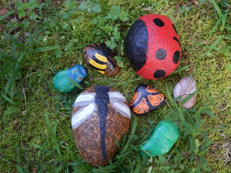 Rock Painting Insects DIY Craft Project