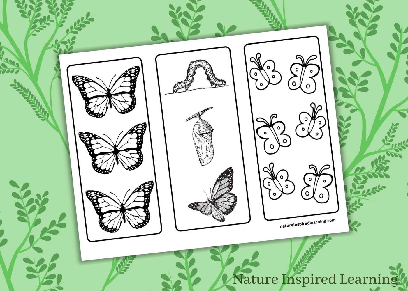 Beautiful Butterfly Children's Books - Nature Inspired Learning