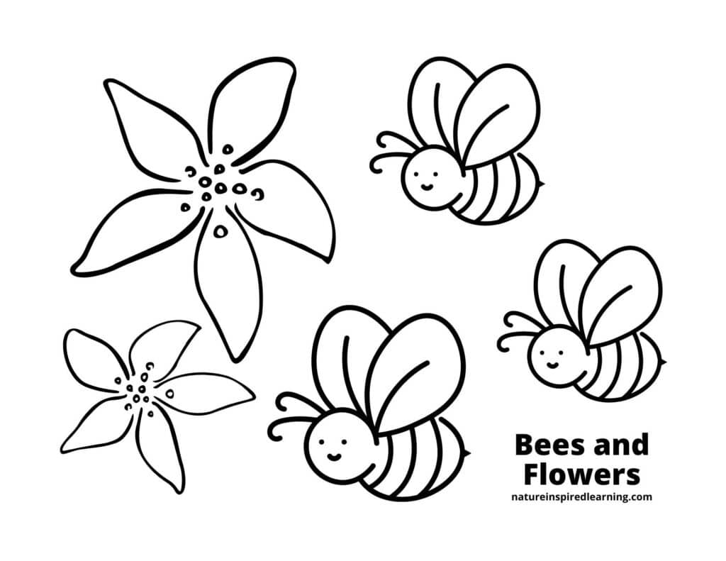 Drawing Illustration Art Collectibles Floral Bee Coloring Page 