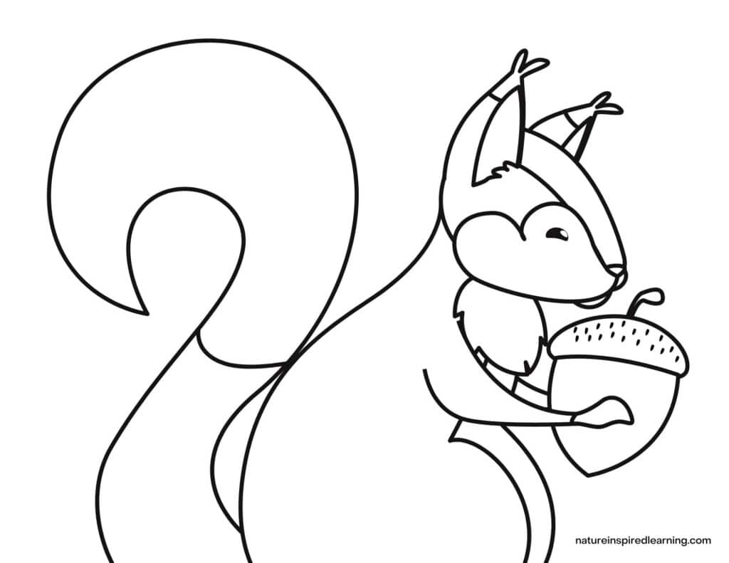 large squirrel holding an acorn coloring page for kids