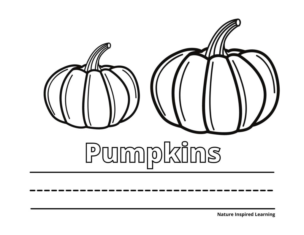 simple pumpkins coloring printable with two pumpkins the word pumpkin written in outline form with lines below it for kids to write the word