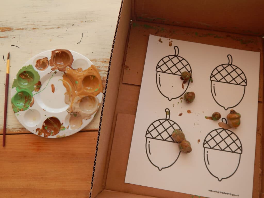 a cut cardboard box with an printed off acorn template inside with six real acorns covered in paint on the paper. Paint tray with neutral colored paints next to it on a table with a paint brush