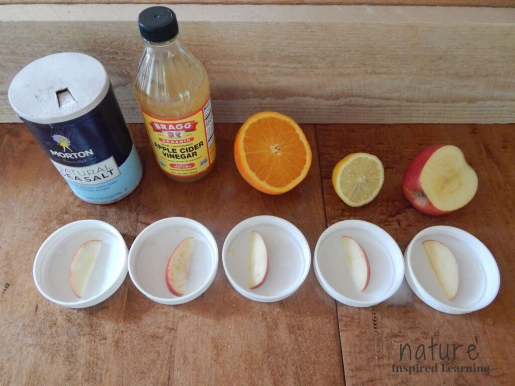 supplies for apple science experiment on wooden table: salt, apple cider vinegar, half an orange, half a lemon, half an apple, five white lids with one apple slice in each lined up in front of each of the supplies