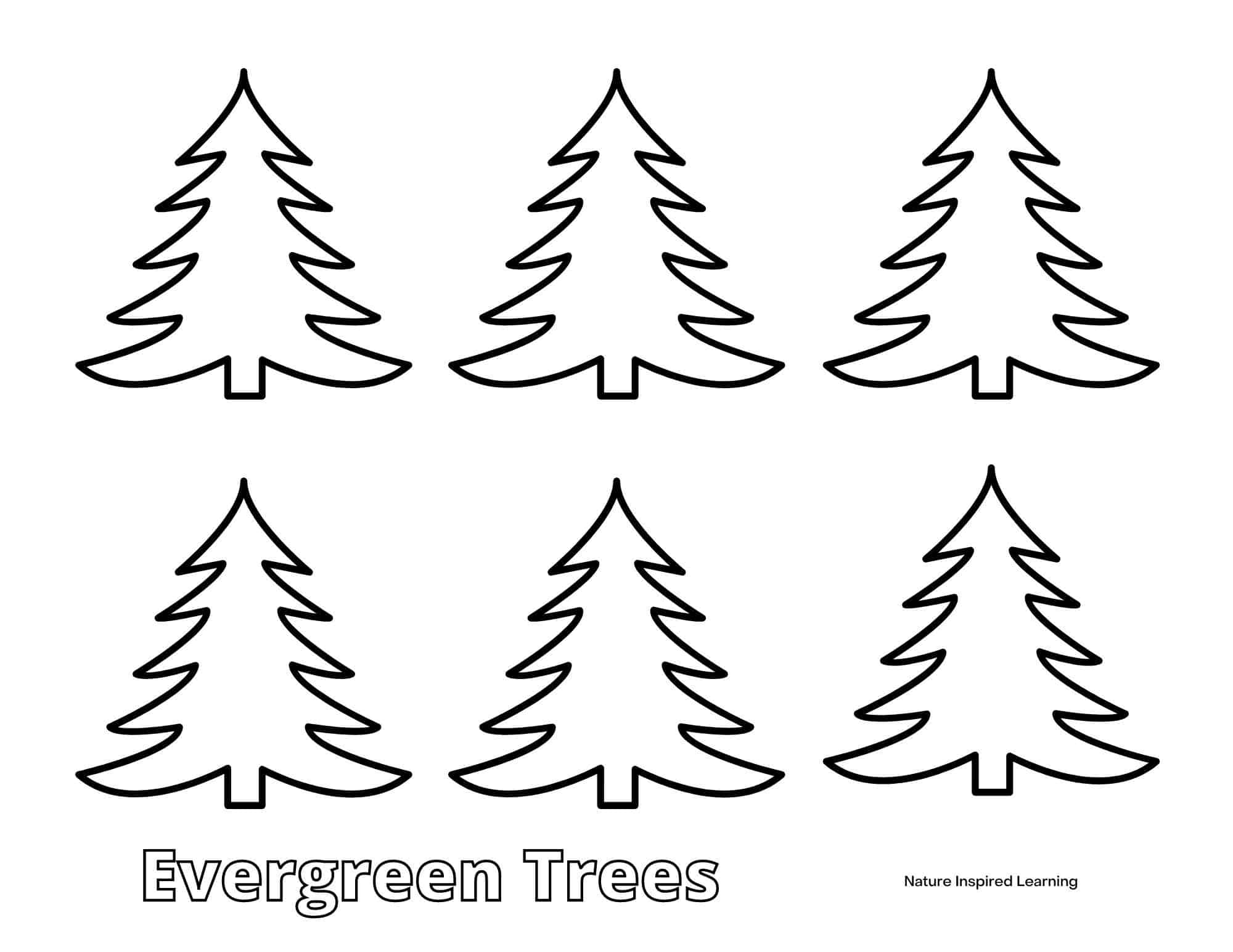 Pine Tree Coloring Pages for Kids - Nature Inspired Learning