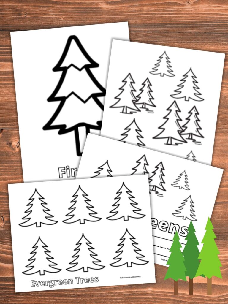 a collection of pine tree coloring pages overlapping each other on a wooden background three tall pine trees clipart in bottom right corner different shades of green and brown