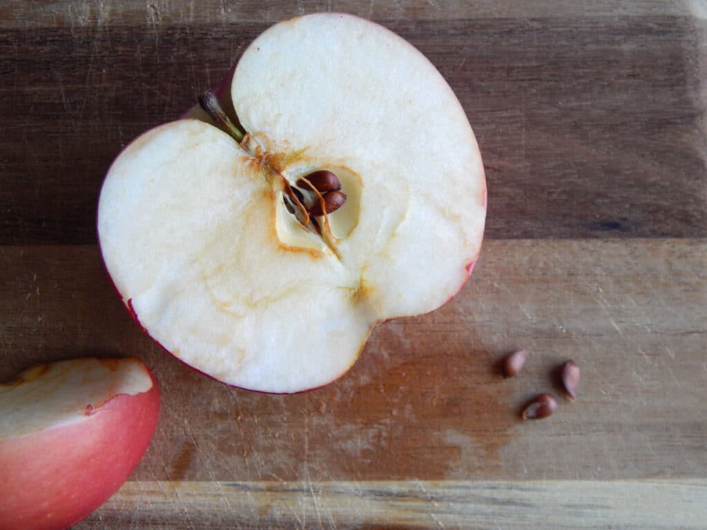 half of an apple on a cutting board with seeds in the core three apple seeds on wooden cutting board and one apple slice with red peal