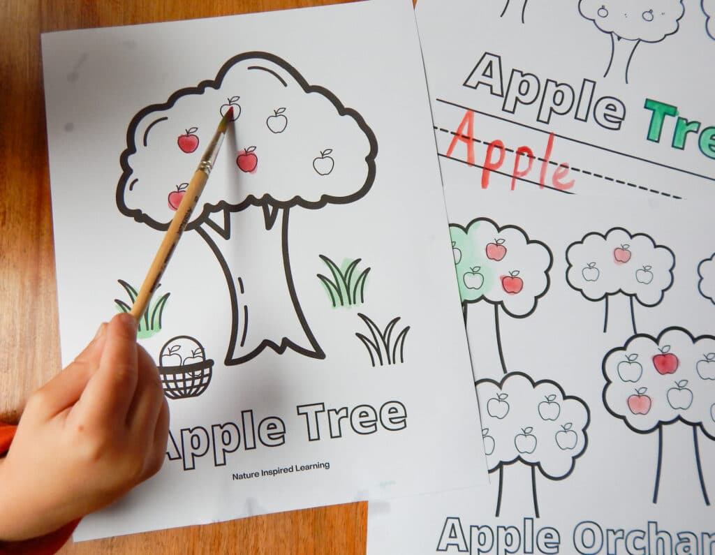 toddler holding a wooden paint brush coloring in apples red on an apple tree coloring sheet green grass painted in and two other apple tree coloring pages partially colored on wooden table