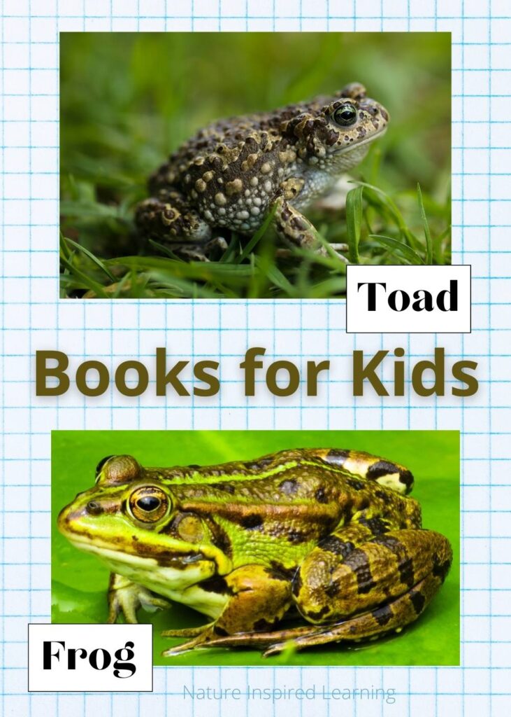 real life images of a toad and frog labeled. Books for Kids written in brown in between the two pictures. Light blue graph paper background