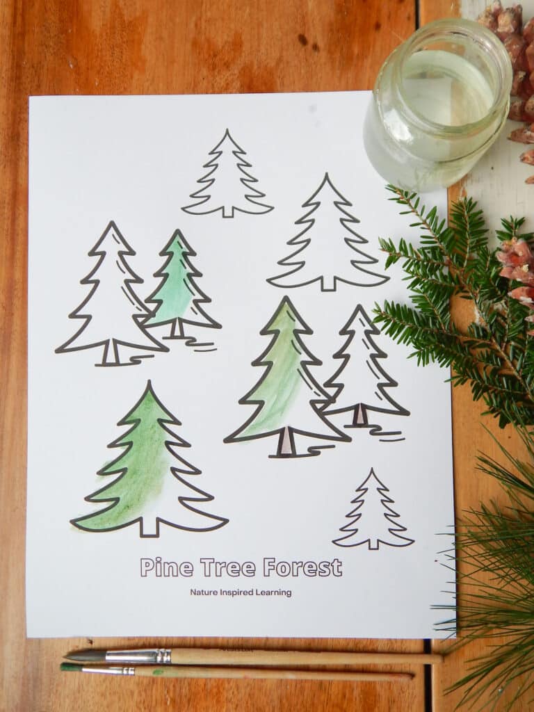 printed pine tree forest coloring page on a wooden table with two wooden paint brushes below, real pine needles to the right side with pine cones small glass jar of water sheet partially painted in green and brown paint