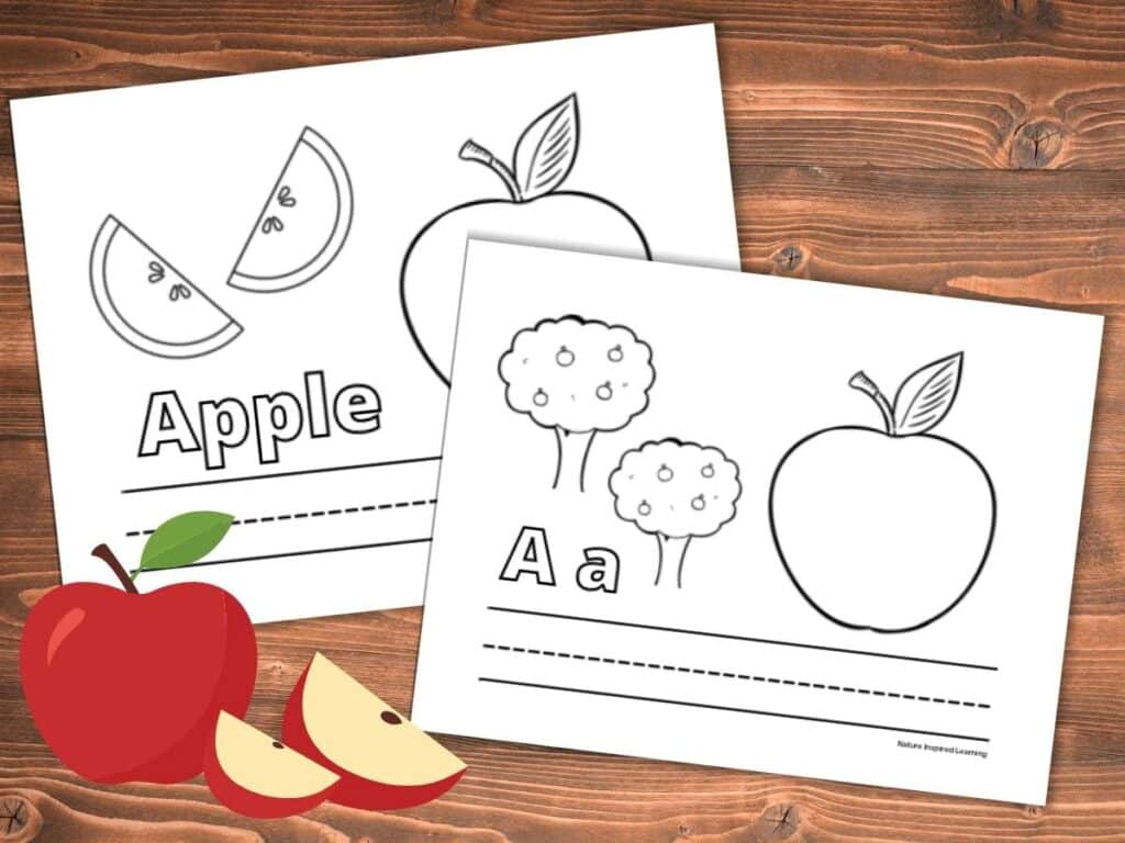 two apple coloring pages A is for Apple and Apple. Clip art image of a red apple with apple slices in the bottom corner. Lines to write the words and letters on each coloring page