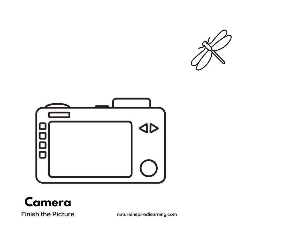 back of a camera with small dragonfly above in white space. Camera finish the picture bottom corner