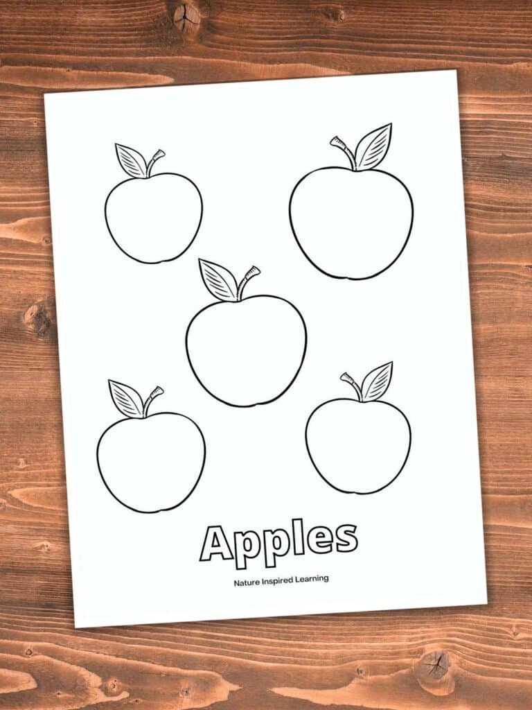 apples coloring page with five apples with one small leaf on each. On a wooden background