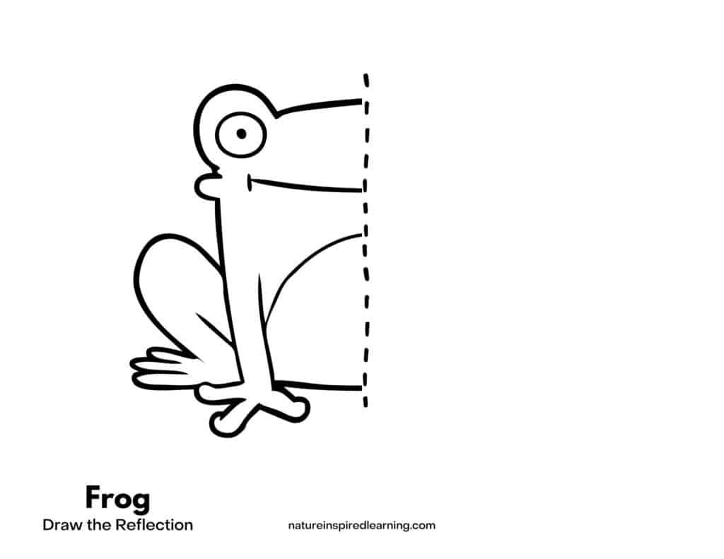 Half of a frog with dotted lines down the center other half of paper blank. Frog Draw the Reflection written below.