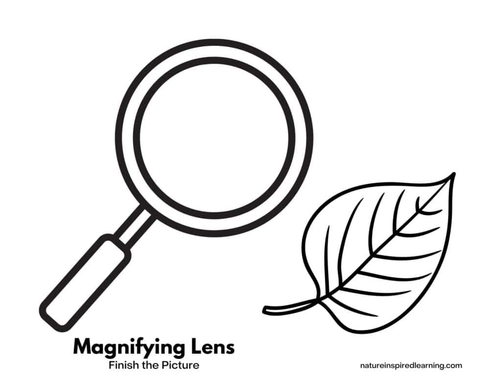 Large magnifying lens with leaf clip art below. Magnifying Lens Finish the Picture written bottom corner