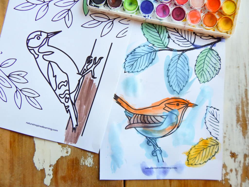two free bird coloring sheets printed off on a wooden table painted using watercolor paint