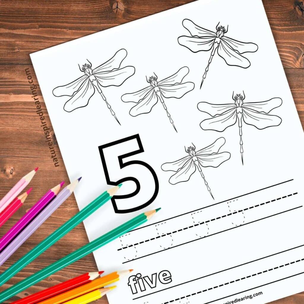 free counting worksheet number 5 with large number and 5 dragonflies trace and write number 5. Printable on a wooden background with colored pencils bottom left corner