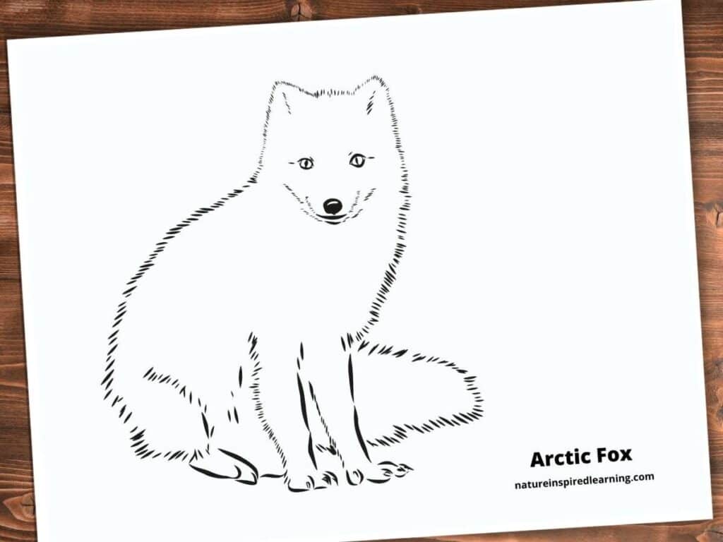 one back and white arctic fox on a printable coloring page with text Arctic Fox bottom right corner. printable on a wooden background