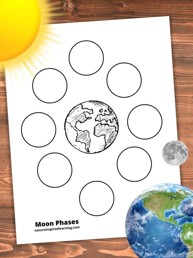 moon phases coloring page with eight circles for each phase of the moon with the earth in the middle. Yellow sun and colorful Earth with small grey moon in opposite corners all on a wooden background