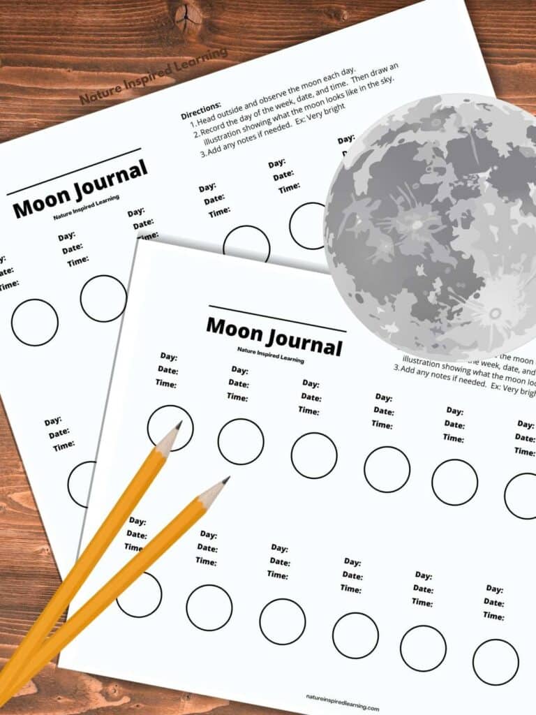 moon journal printables on a wooden background with two pencils and a large grey full moon. Circles to draw moon phase and room to write observations and the date.