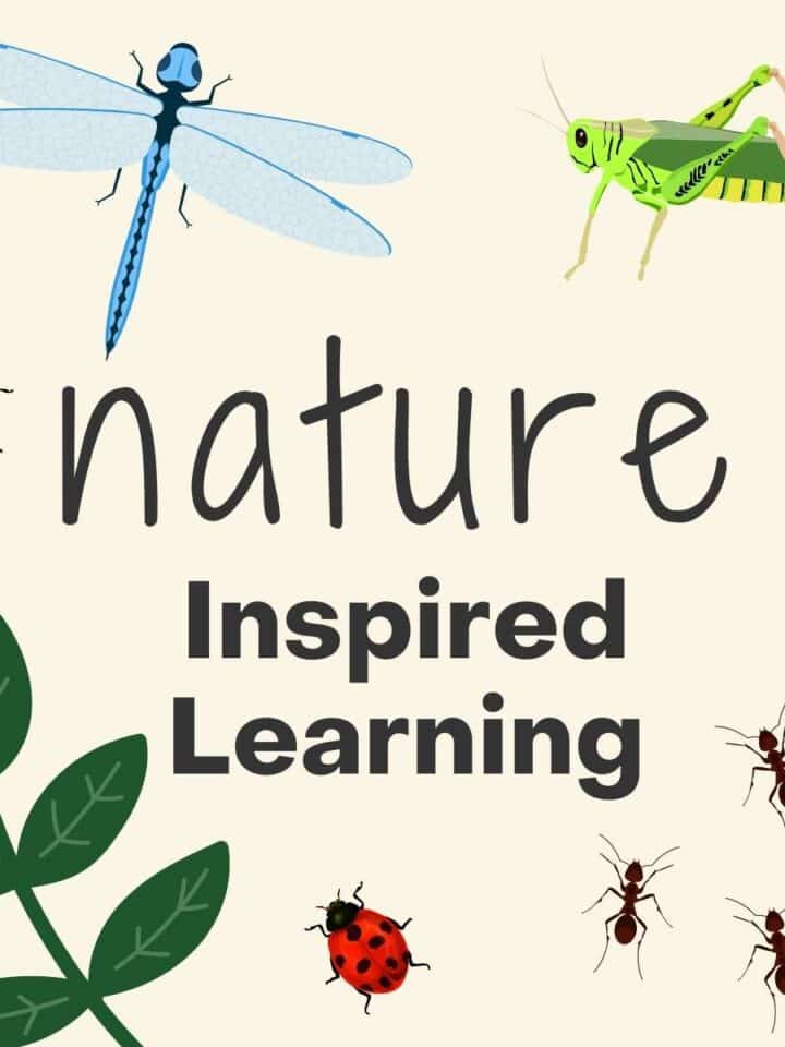 nature Inspired Learning written in middle with tan background. Blue dragonfly top left corner, green grasshopper top right corner, three ants bottom right corner, ladybug bottom middle, green leaves bottom left, and ladybug middle of the left side