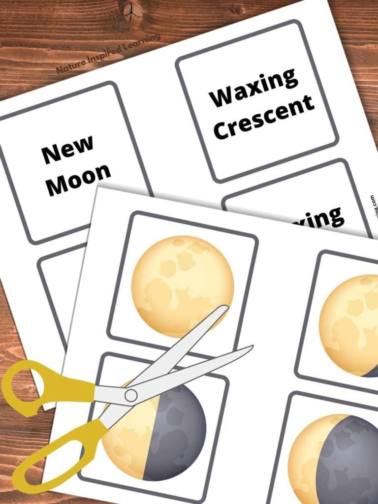 phases of the moon sorting cards with images of the different moons and the name of the moon. Scissors on top of the printables all on a wooden background