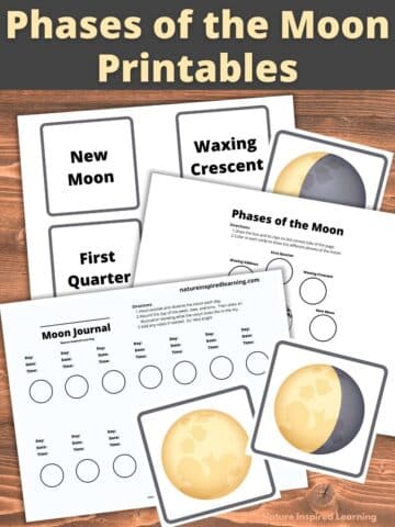 Best Free Phases of the Moon Printables - Nature Inspired Learning