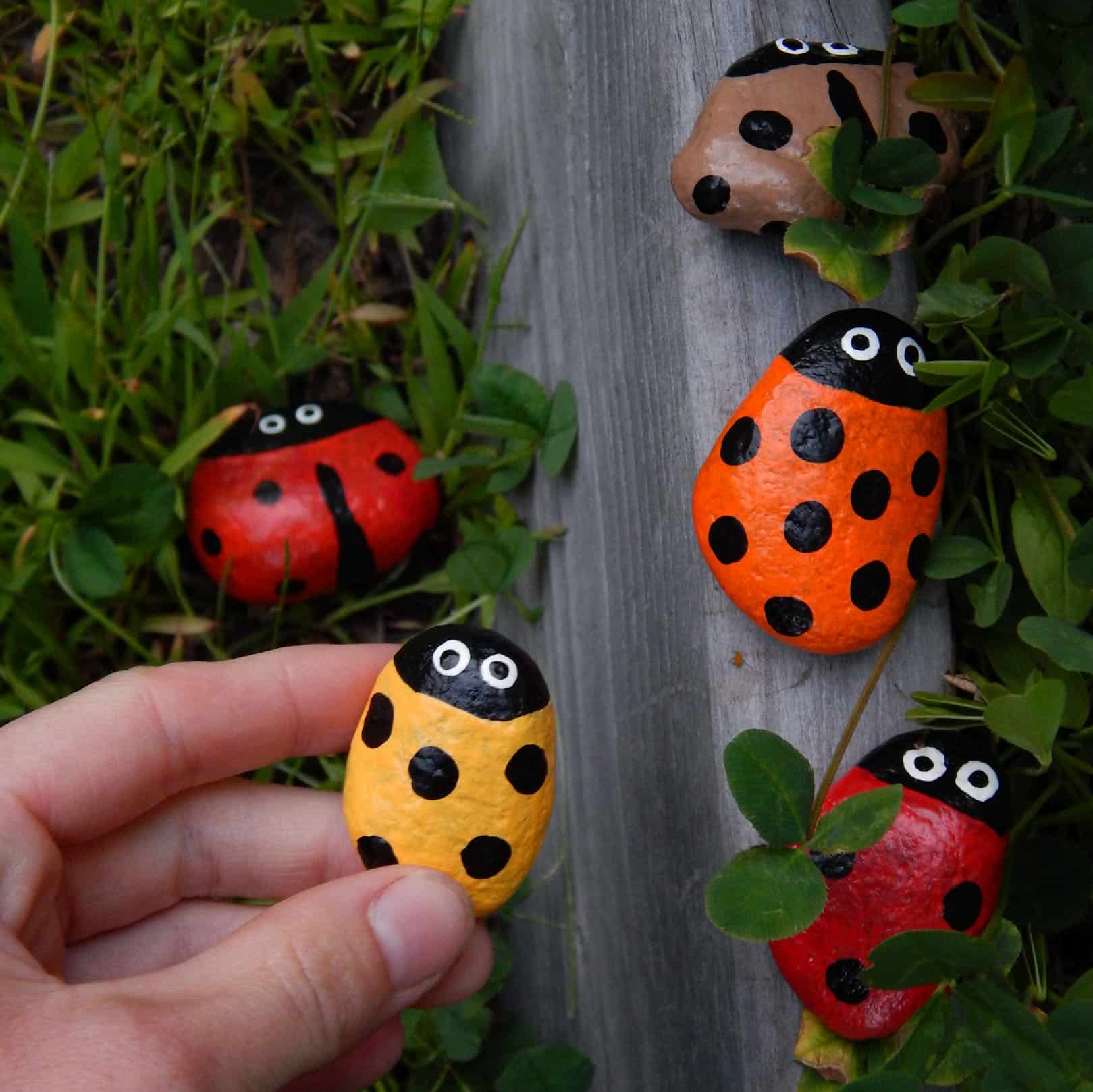 hand holding a yellow ladybug painted rock outside three handmade lady beetle painted rocks lined up on a raised garden bed with one red lady beetle below in the grass