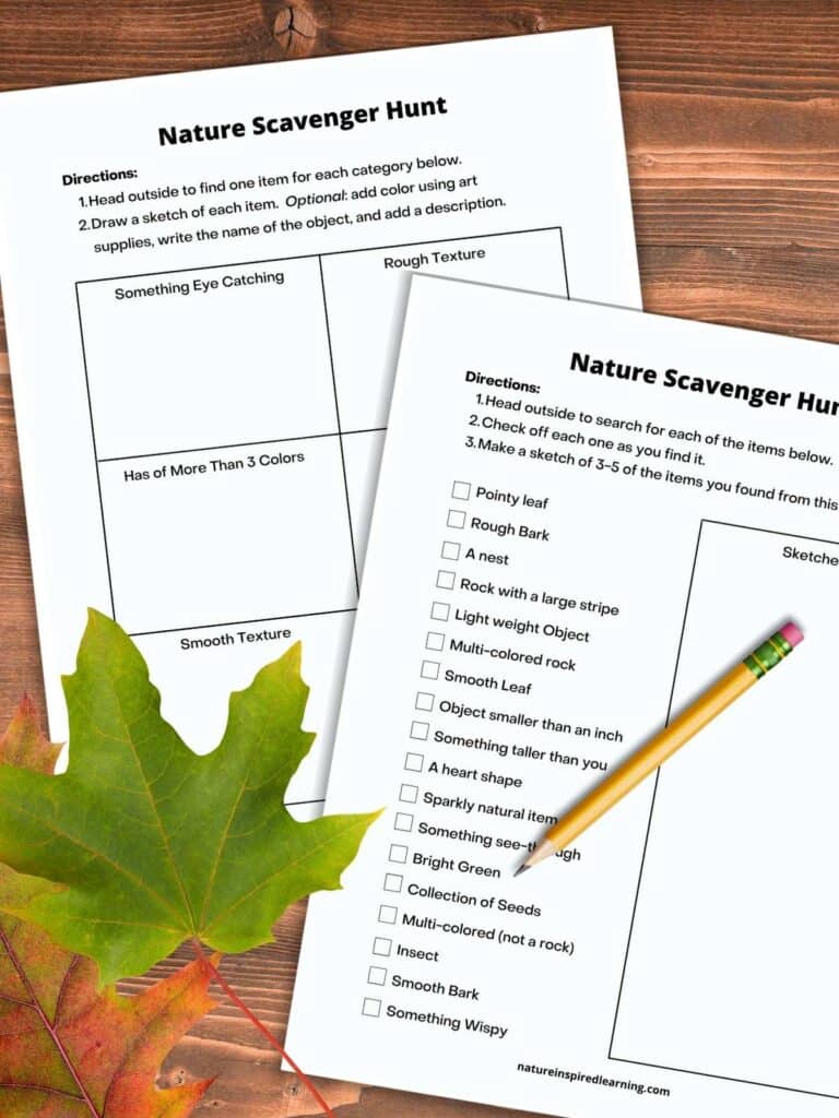 two different printable scavenger hunts for your backyard overlapping on a wooden table. Room to draw illustration and a check list of items. Colorful oak leaf and a green maple leaf bottom left corner. Pencil on one of the printables.