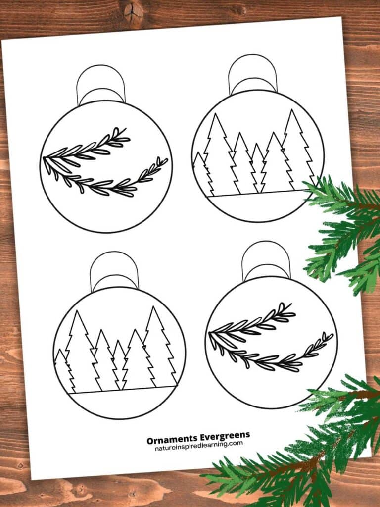 printable Christmas ornament coloring page with balls with different evergreen designs trees and branches. Printable on a wooden background with evergreen branches right side