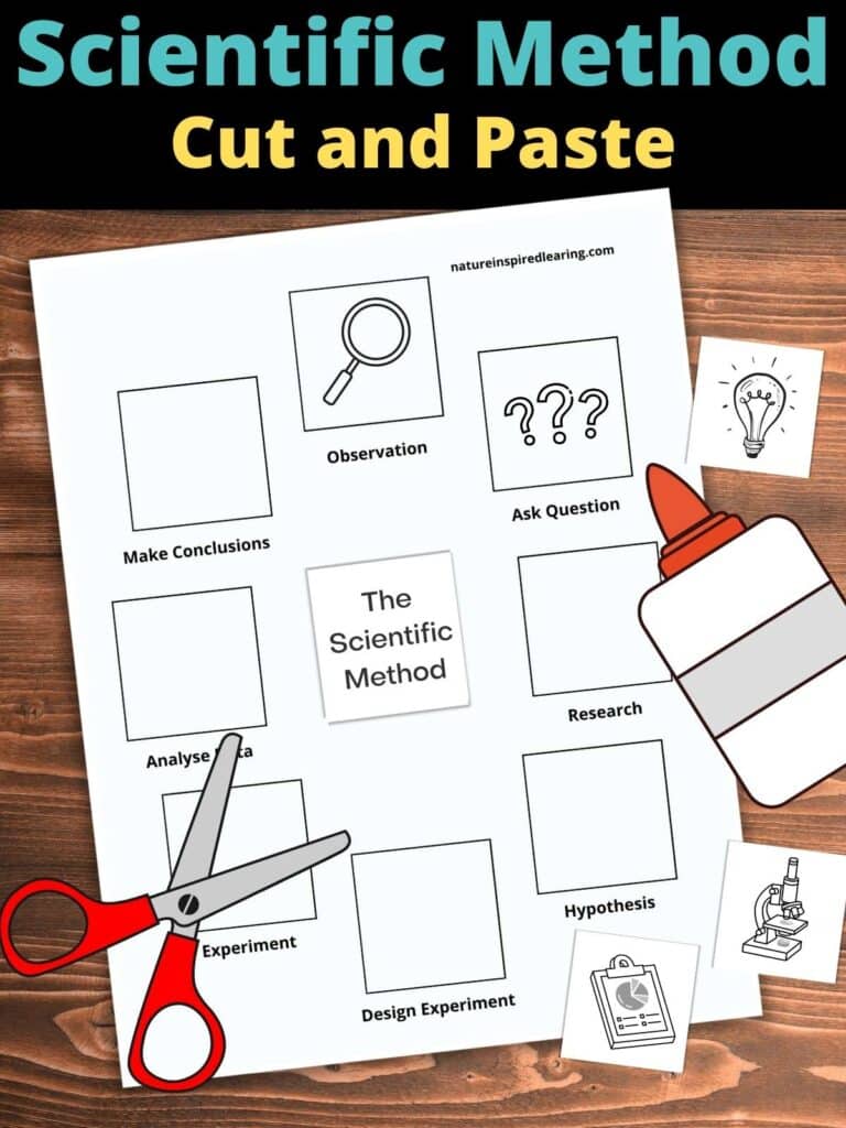 scientific method diagram cut and paste with pictures on a wooden background with red scissors in bottom left corner and school glue right side with cut out pictures of the different steps. Scientific Method Cut and Paste across the top