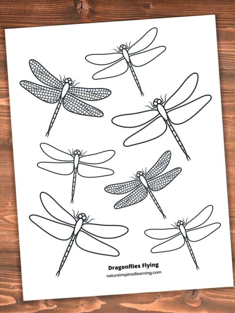 basic dragonfly outlines coloring sheet with seven dragonflies two with detailed wings. Printable on a wooden background.