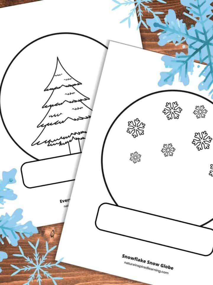 Two free printable snow globe coloring sheets overlapping on a wooden background with blue snowflake designs in upper right and lower left corner.