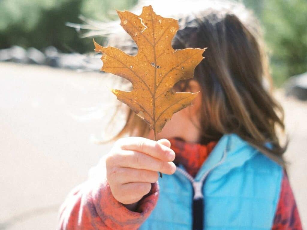 child outside holding up a brown maple leaf covering face
