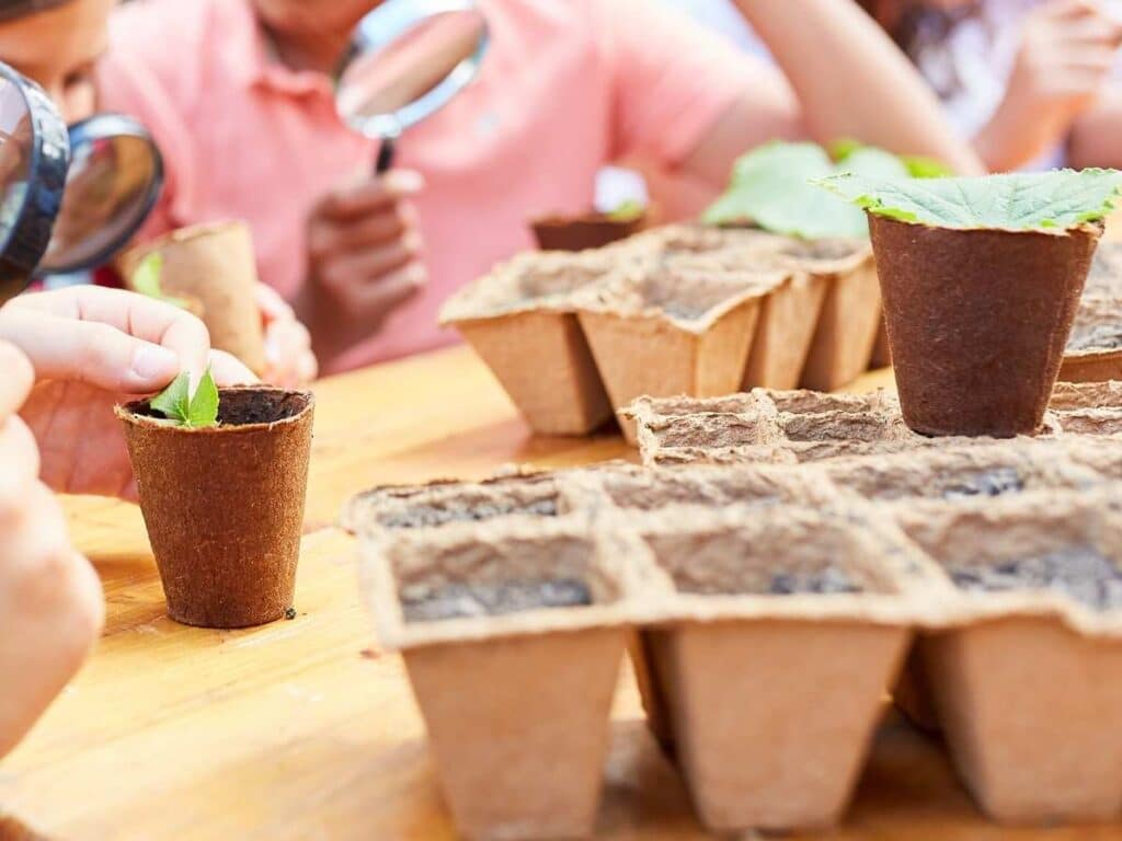 children holding magnifying lenses looking at small plants growing in pots. Empty plant trays with dirt on table