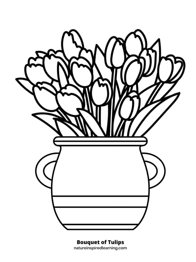 vase with stripes and two handles with a bouquet of closed tulips inside