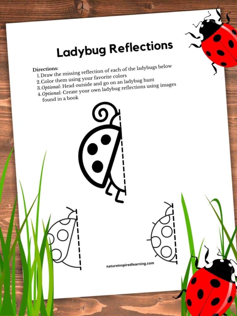 ladybug printable with three ladybug designs draw the other half of the image. Printable on a wooden background with green grass bottom corners. Two red ladybugs top right bottom right.