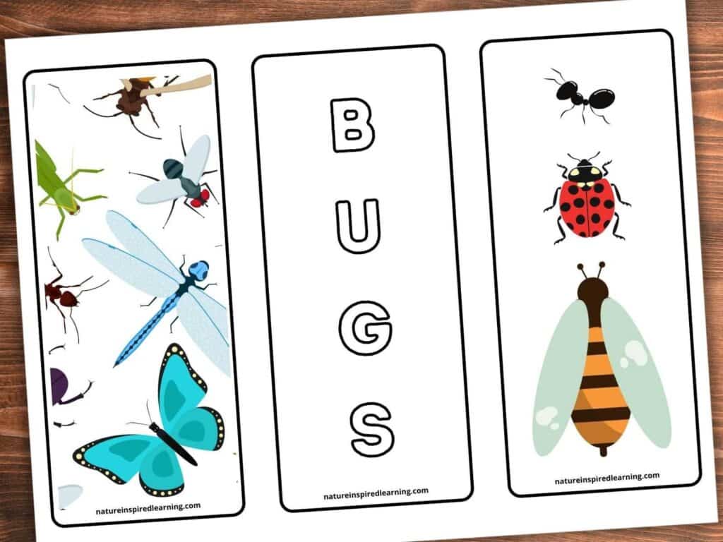 three printable insect bookmarks on a wooden background