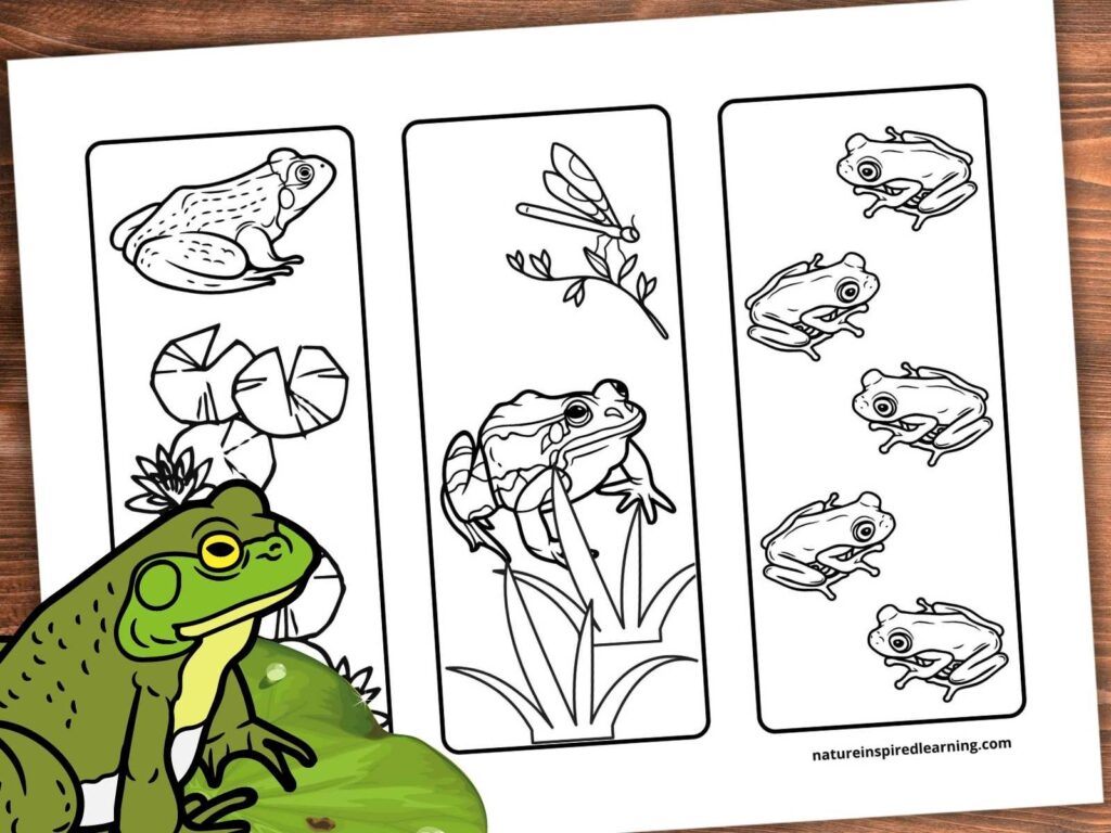 printable frog bookmarks in black and white designs. On wooden background green frog on lily pad bottom left corner