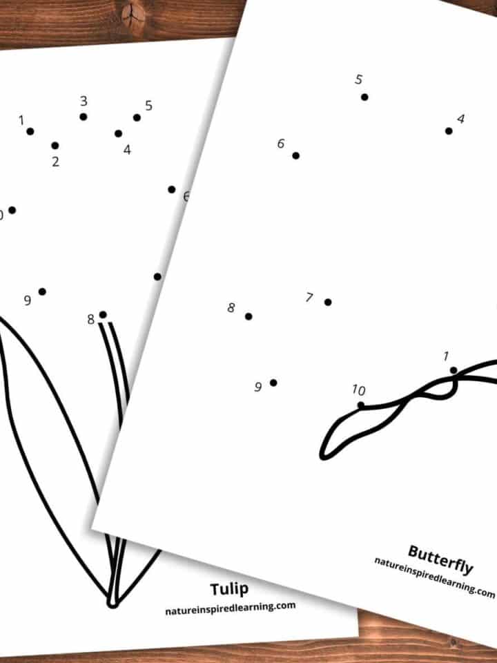 two printable dot to dot worksheets with numbers 1-20 butterfly and flower on a wooden background