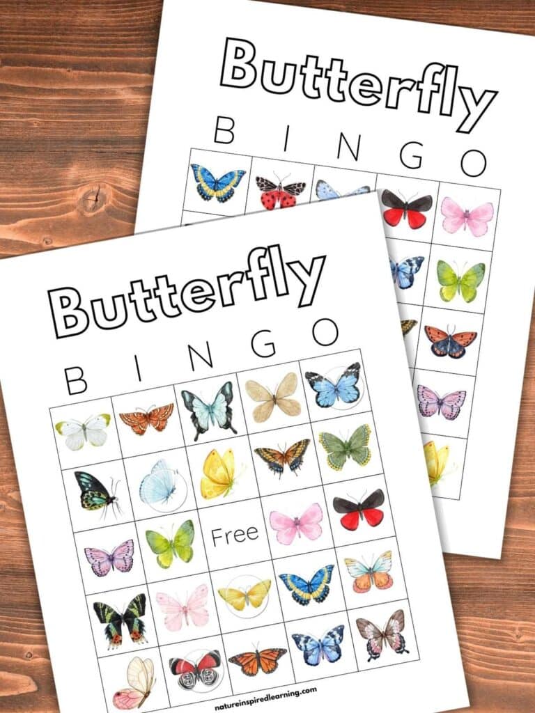 two butterfly bingo cards with colorful butterflies on a wooden background with clear bingo chips