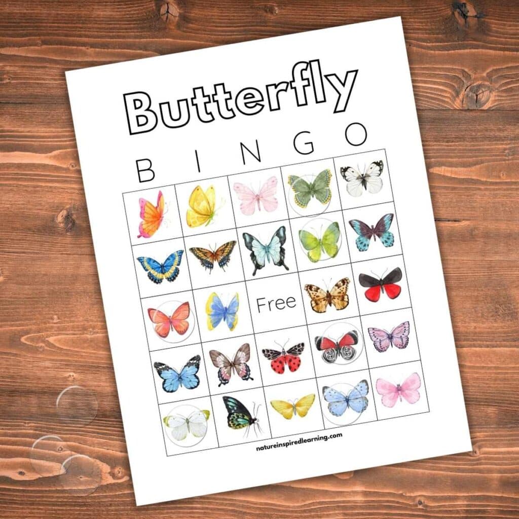 butterfly bingo card on a wooden background with clear plastic bingo chips