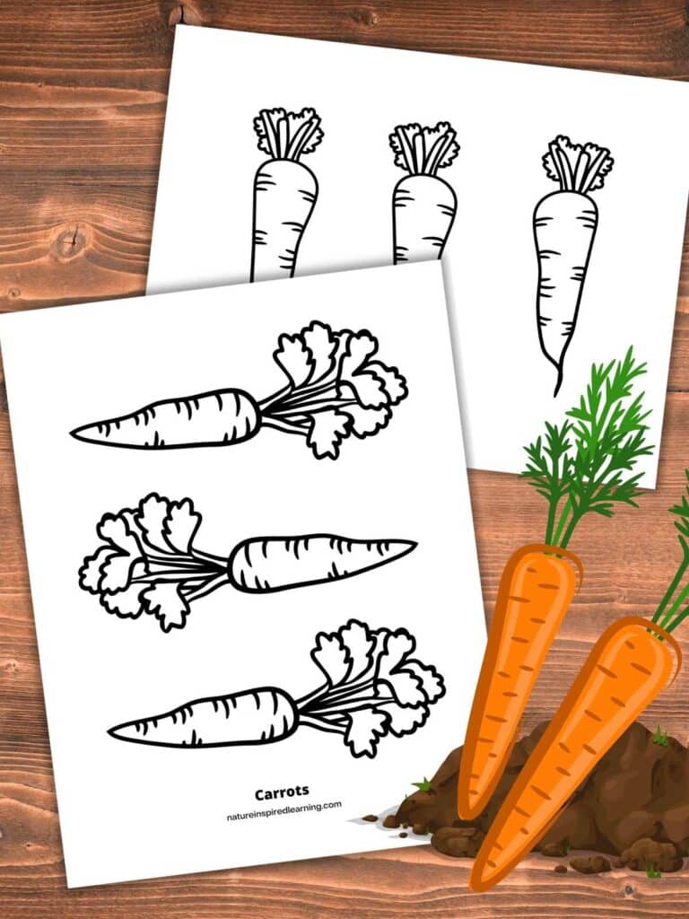 two printables with three black and white carrot designs overlapping on a wooden background. Two orange carrots over dirt bottom right corner