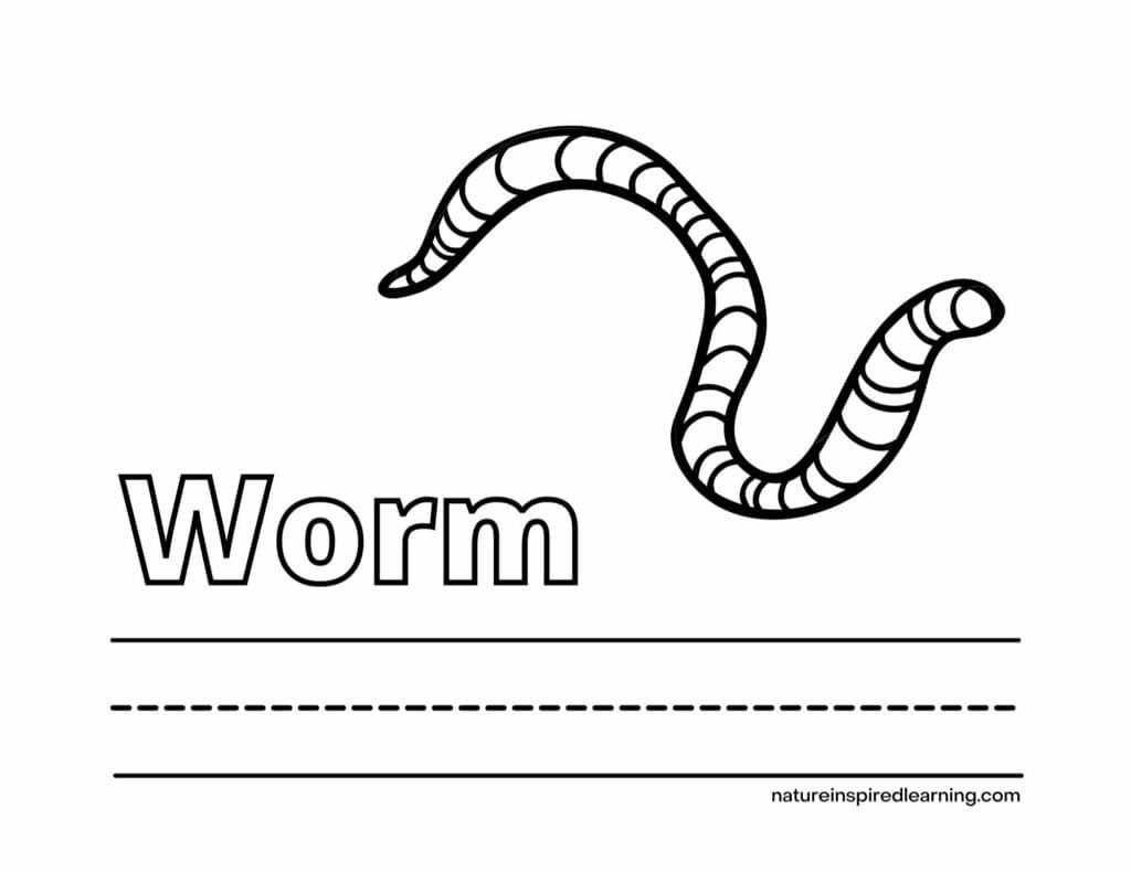 one simple worm with the word worm written in outline form below and lines to write
